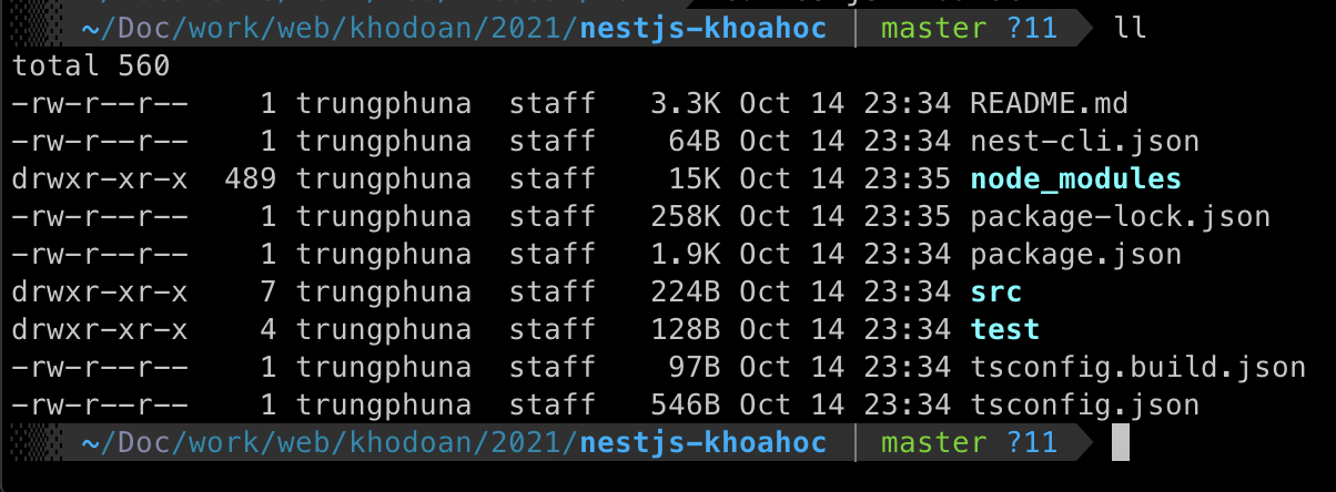 Tìm hiểu trải nghiệm nestjs, một Framework khá phổ biến của nodejs hiện ...